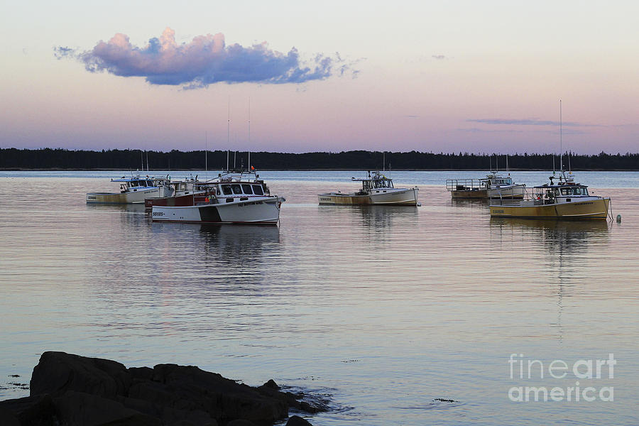 Boat Photograph - Pink Sky at Night Sailors Delight by Katie W