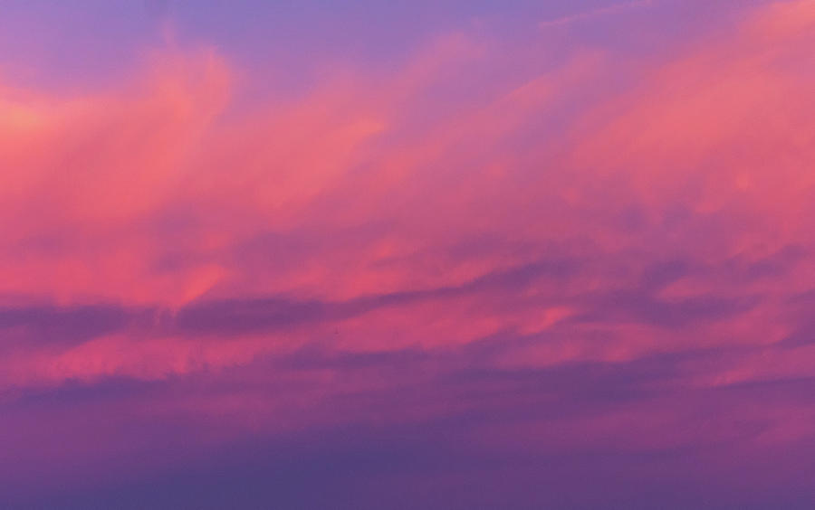 Pink Sky Photograph by Douglas Killourie
