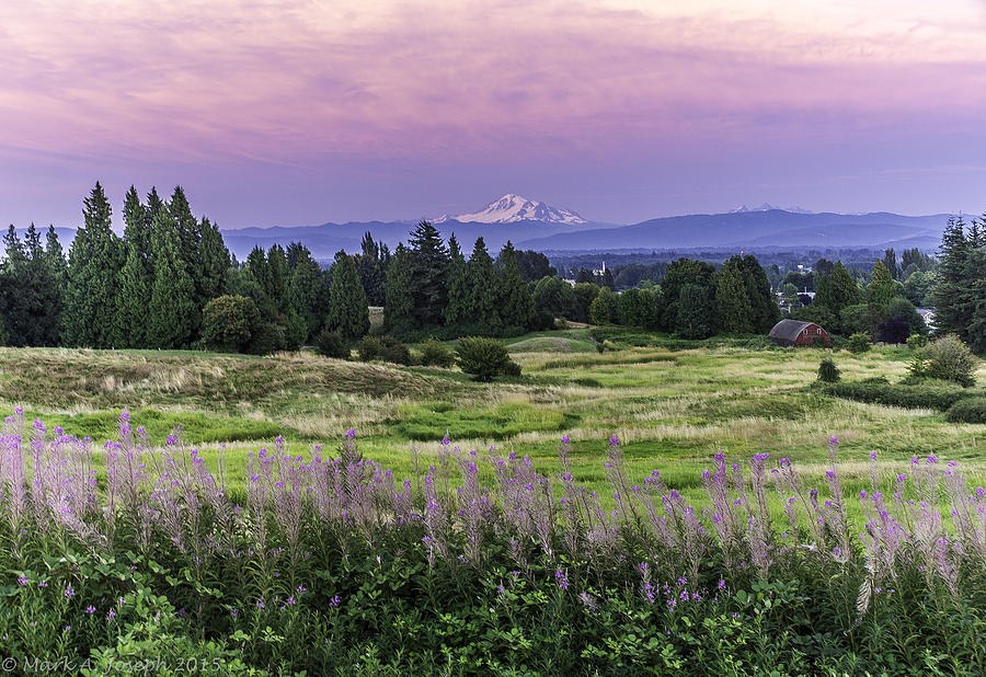 Pink Sky Evening Photograph by Mark Joseph