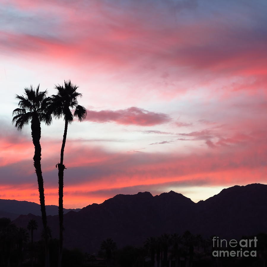 Pink Sky From A Desert Trip Photograph by Desiderata Gallery | Fine Art ...