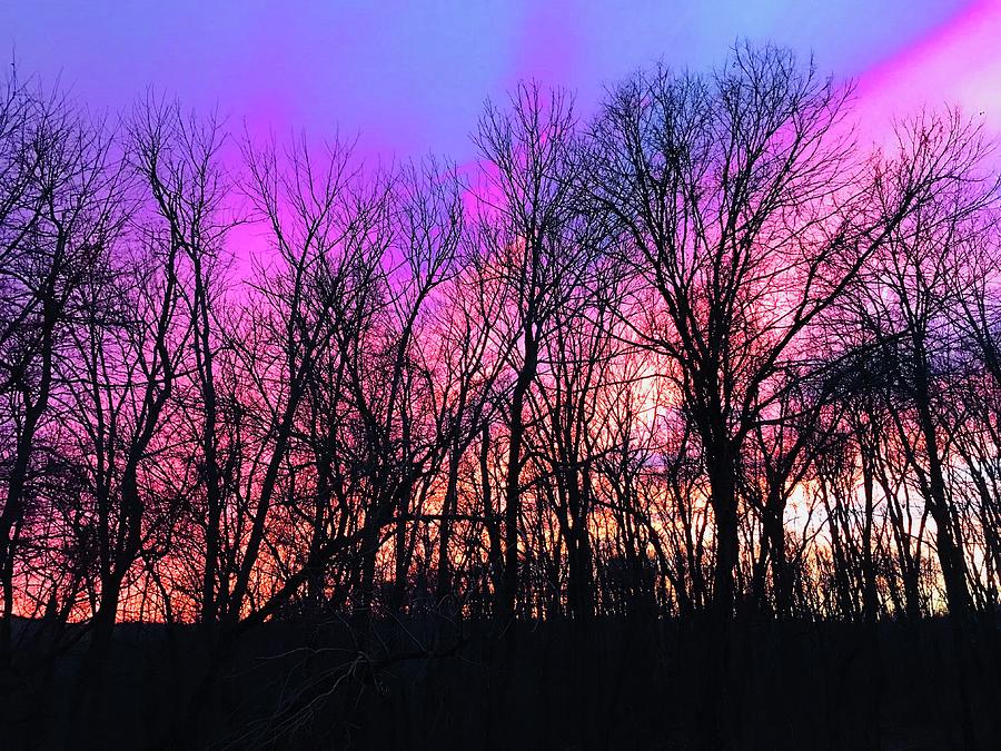 Pink Sky Photograph by Nicki Clark