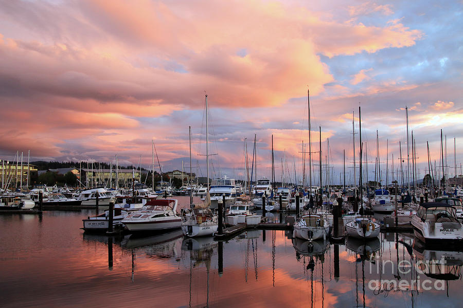 Sunset Photograph - Pink Sky Over the Marina  by Cheryl Rose