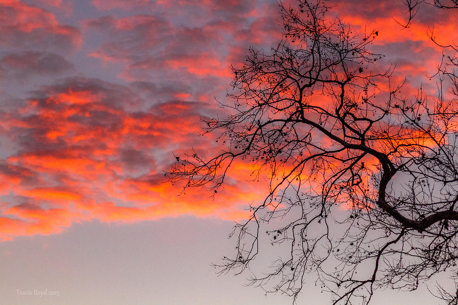 Pink Sky Photograph by Travis Boyd - Fine Art America