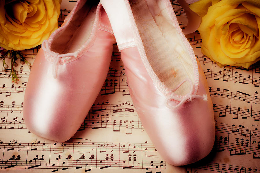 Still Life Photograph - Pink Slippers And Roses by Garry Gay