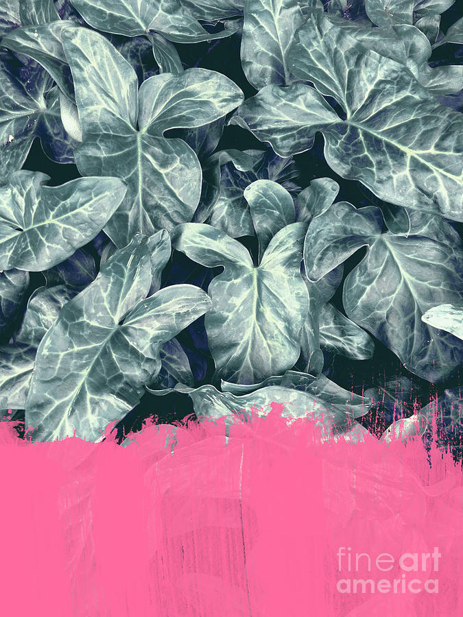 Pink Sorbet on Jungle by EMANUELA CARRATONI Pink Sorbet on Jungle by EMANUELA CARRATONI