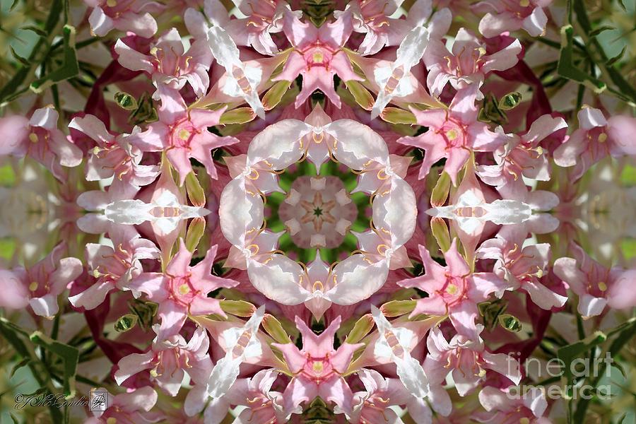 Pink Splash Kaleidoscope Digital Art by J McCombie