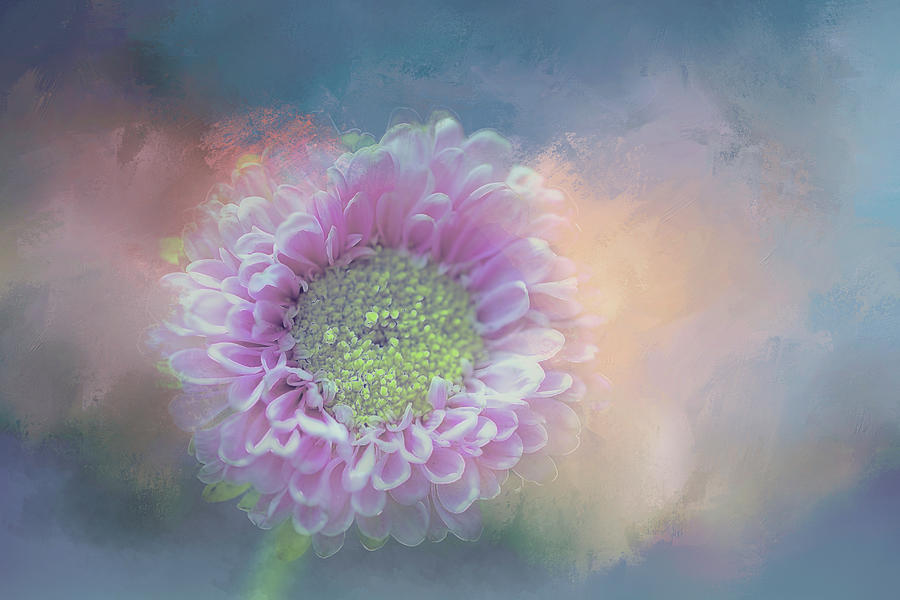 Pink Splash on Blue Digital Art by Terry Davis