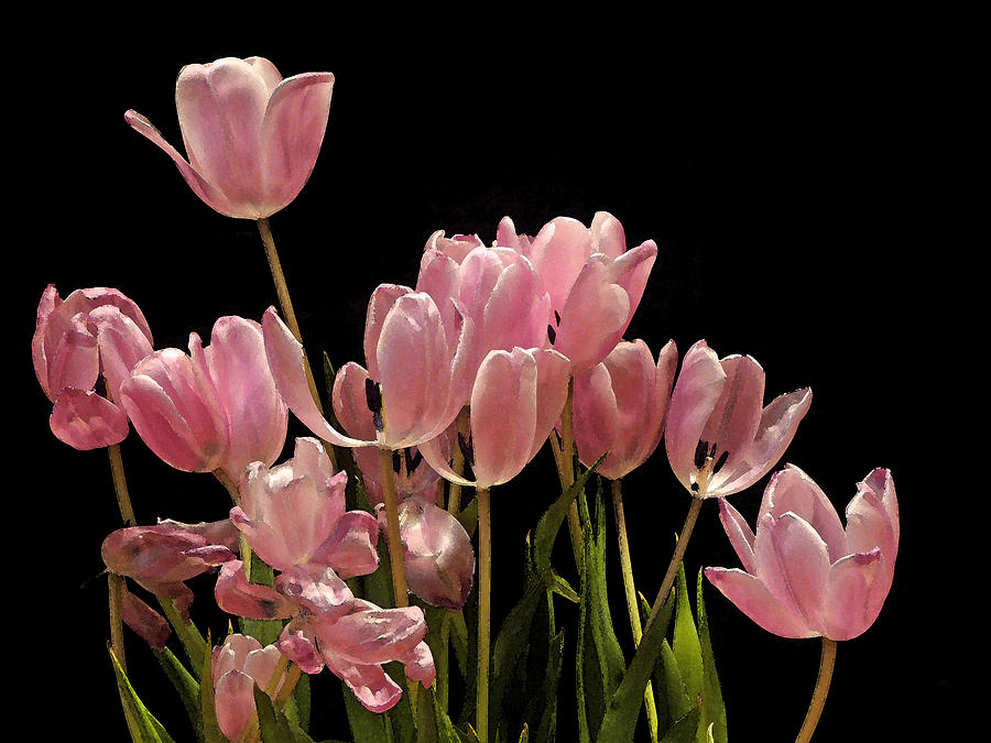 Pink Spring Tulips in Watercolor Photograph by Margie Avellino