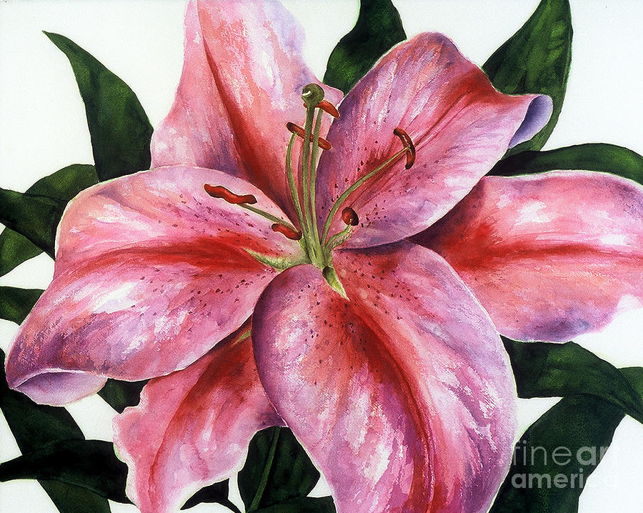 Pink Stargazer Lily Painting by Karen Ann