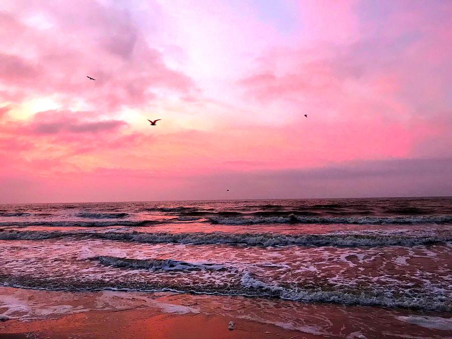 pink sunrise photography