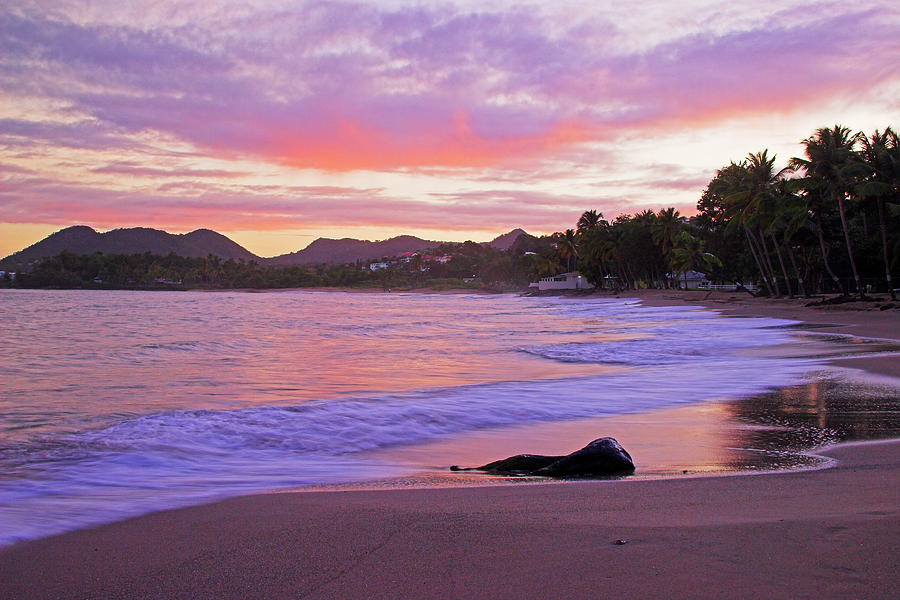 Pink Sunrise- St Lucia Photograph by Chester Williams