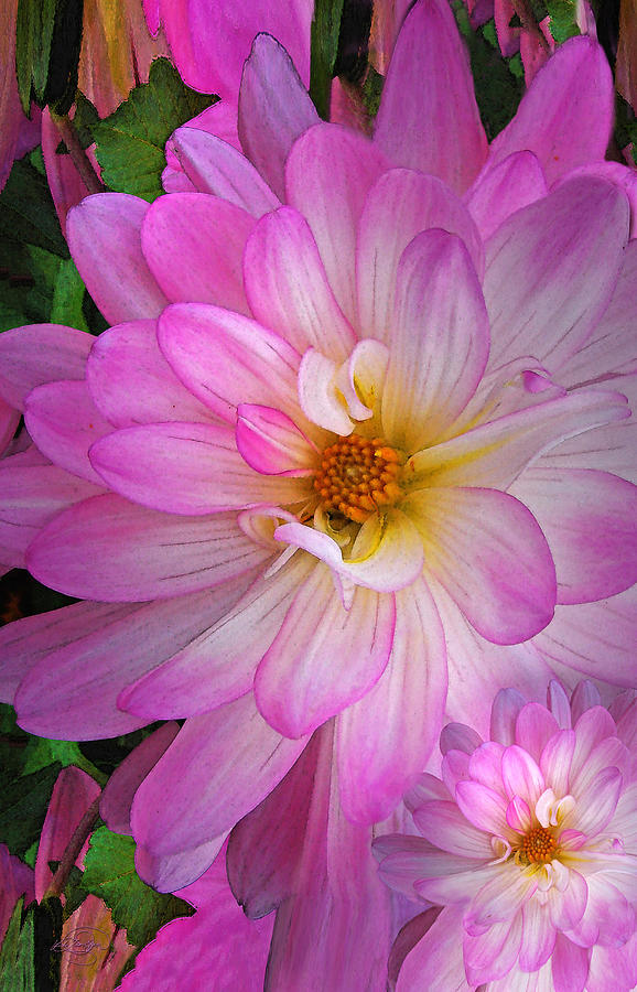 Flowers Still Life Digital Art - Pink Sunrise by Vicki Lea Eggen