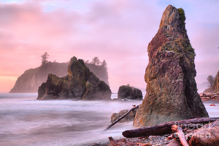 Pink Sunset At Ruby Beach Photograph by Adam Jewell