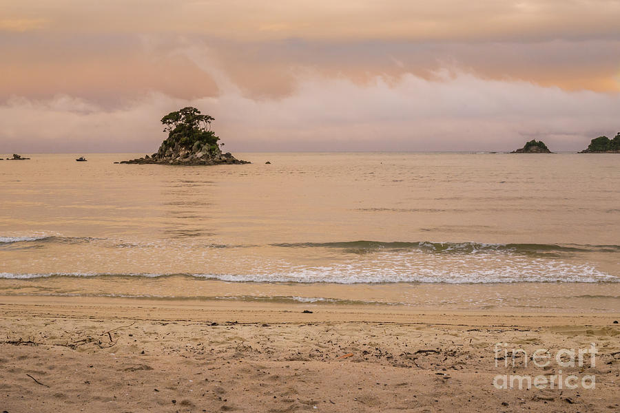Holiday Photograph - Pink sunset by the ocean, Abel Tasman National Park by Anna Soelberg