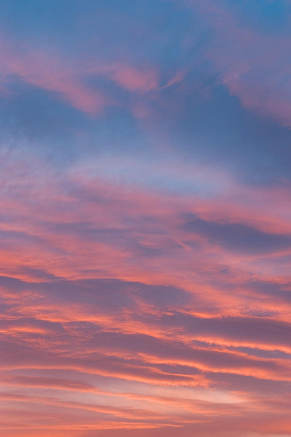 Sunset Photograph - Pink sunset by Don Mennig