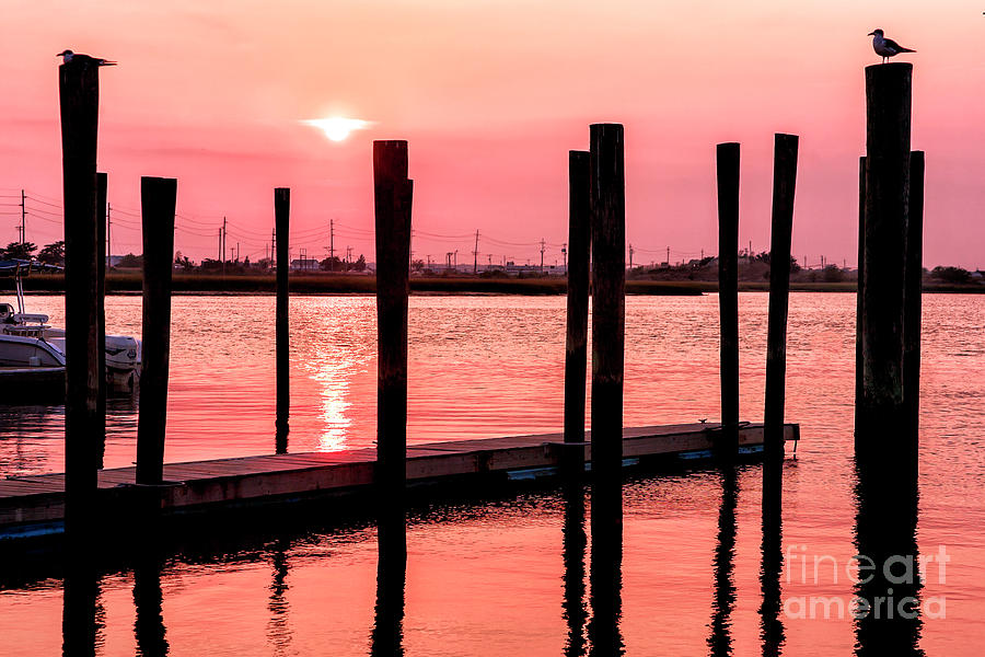Pink Sunset in Wildwood Photograph by John Rizzuto