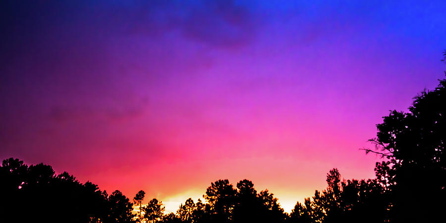 Pink Sunset Photograph by James-Allen