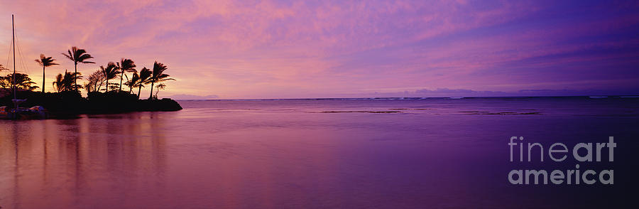Pink Sunset Over The Ocean Photograph by David Cornwell/First Light Pictures, Inc - Printscapes