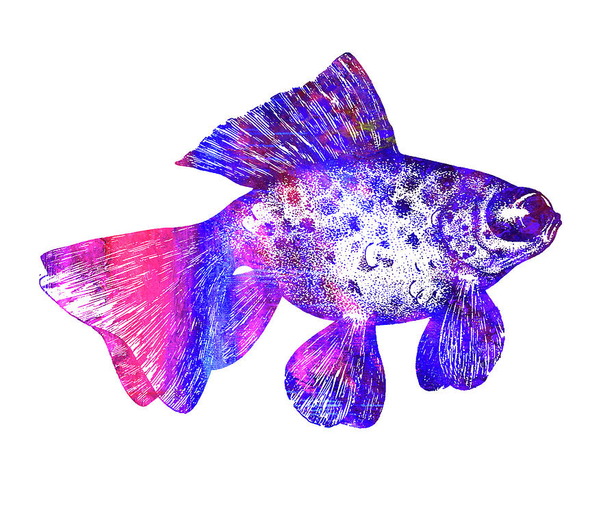 Pink Tail Fish Digital Art by Nancy Merkle
