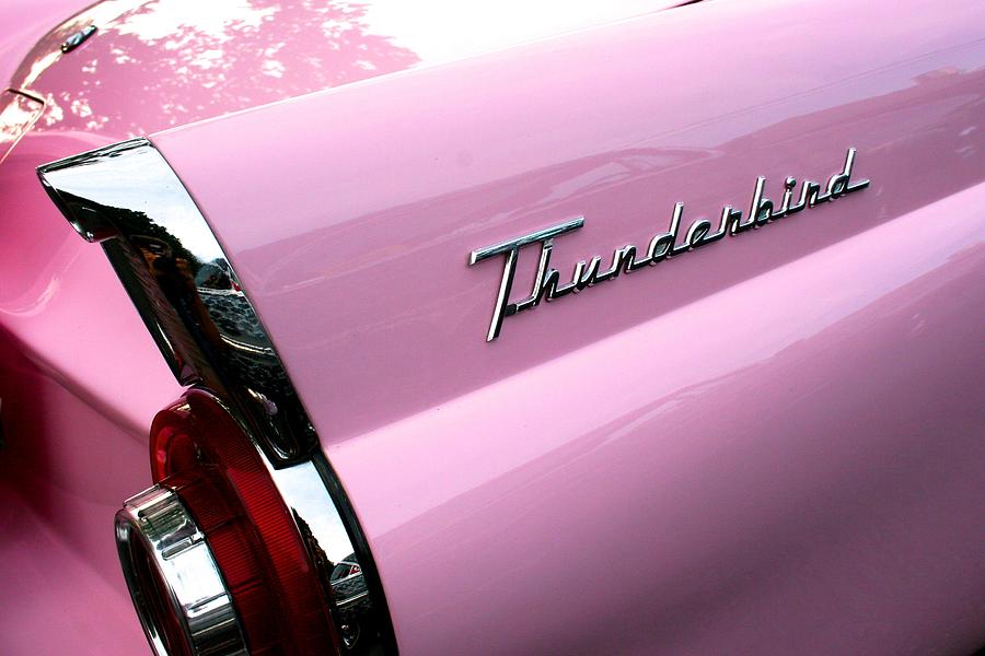 Pink Thunderbird Photograph by Polly Castor