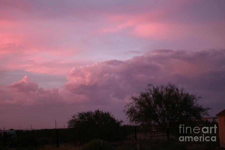 Pink Tinted Clouds  Photograph by Lynn Michelle