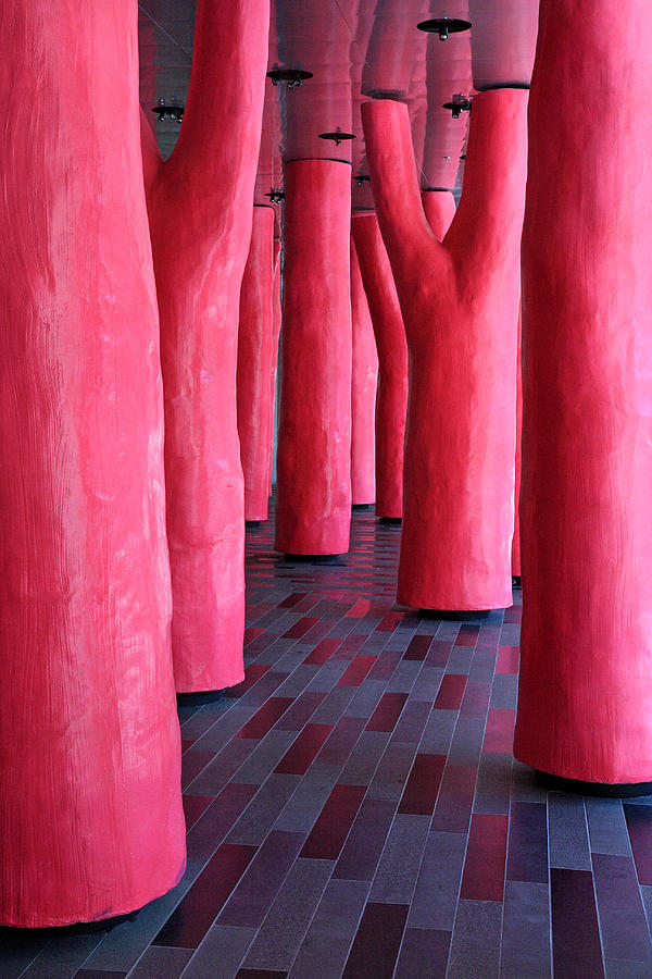 Pink trees Palais des congres Montreal city Photograph by Pierre Leclerc Photography