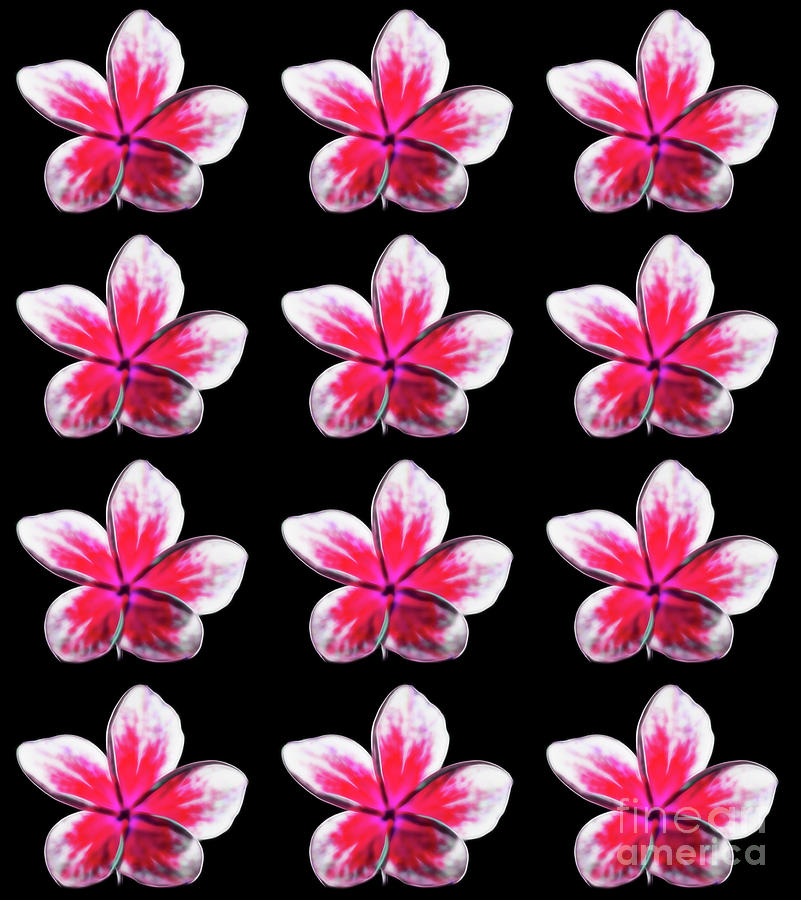 Pink Tropical Summer Flowers by Tracey Everington Pink Tropical Summer Flowers by Tracey Everington