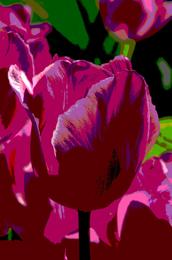 Pink Tulip Poster Photograph by Cathy Mahnke