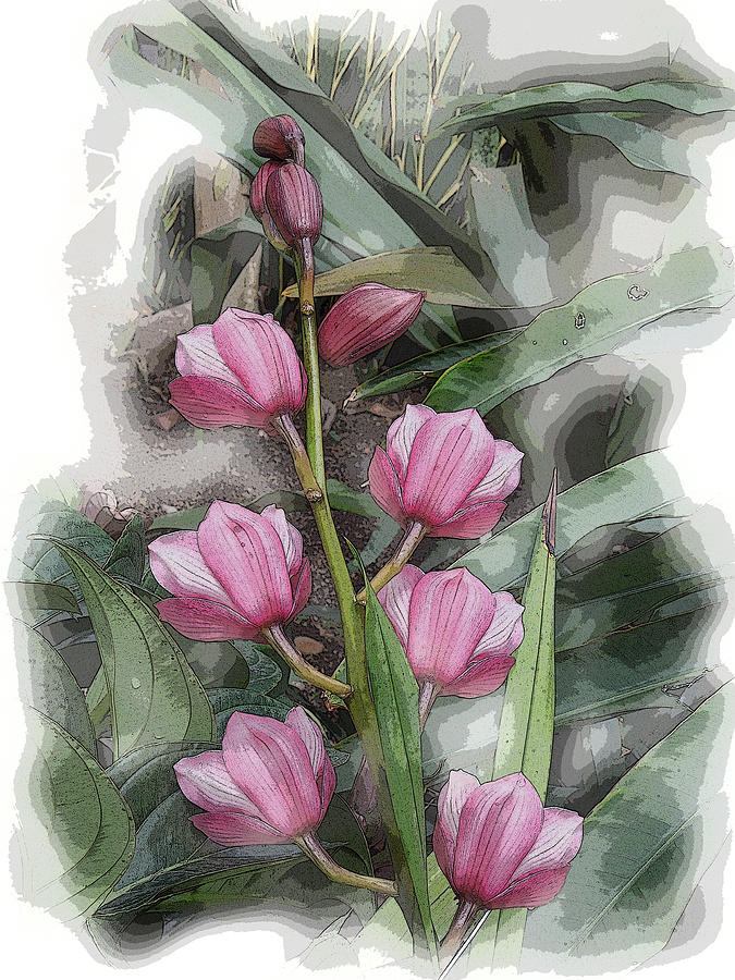 Pink Tulips Mixed Media by Don Wright