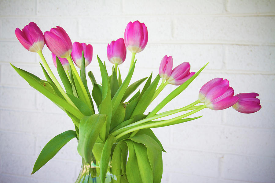 Pink Tulips in a Vase Photograph by James BO Insogna