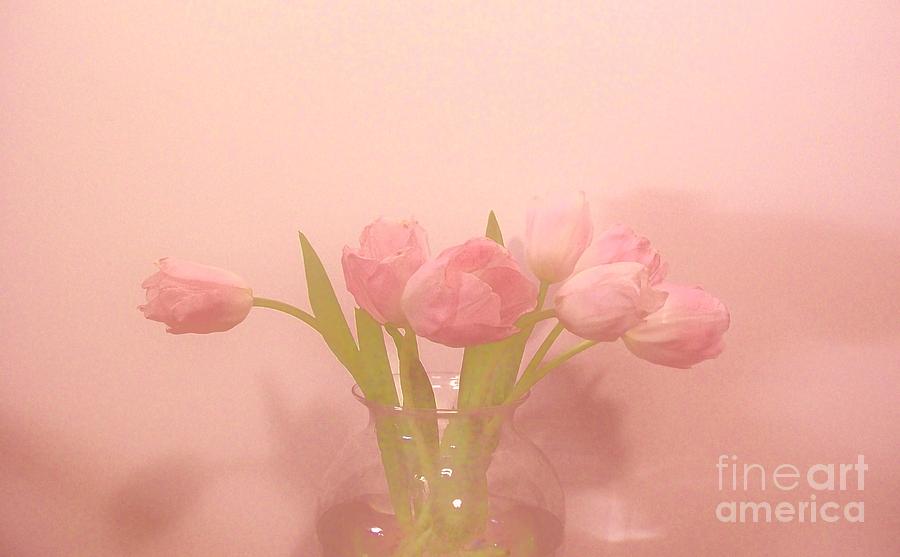 Pink Tulips on Pink Photograph by Marsha Heiken
