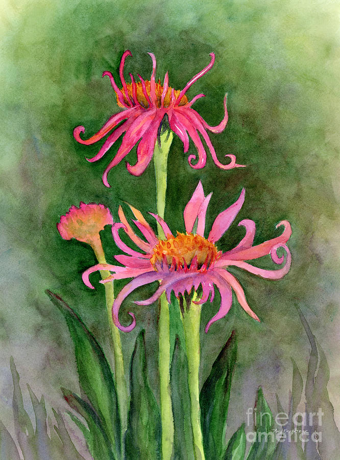 Pink Tutus - Coneflowers Painting by Amy Kirkpatrick