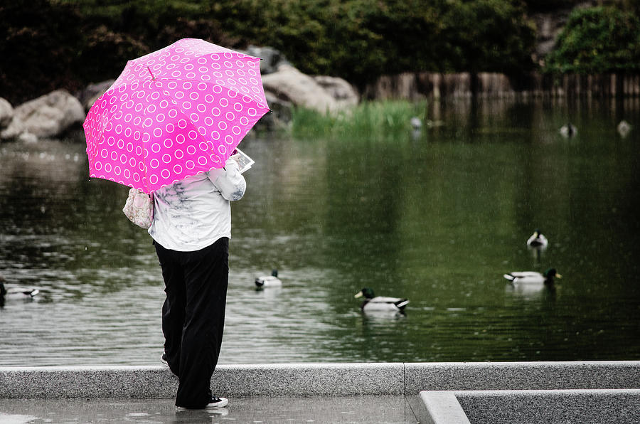 Ducks Photograph - Pink Umbrella by Emily Bristor Ducks Photograph - Pink Umbrella by Emily Bristor