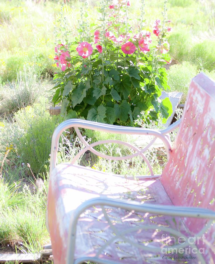 Pink Victorian Garden Bench Photograph