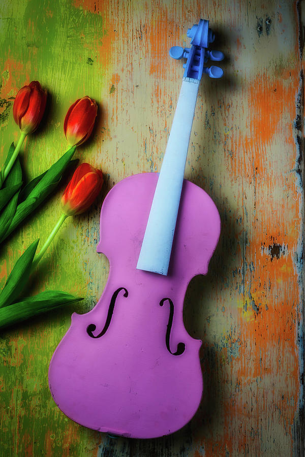 Pink Violin And Tulips Photograph by Garry Gay