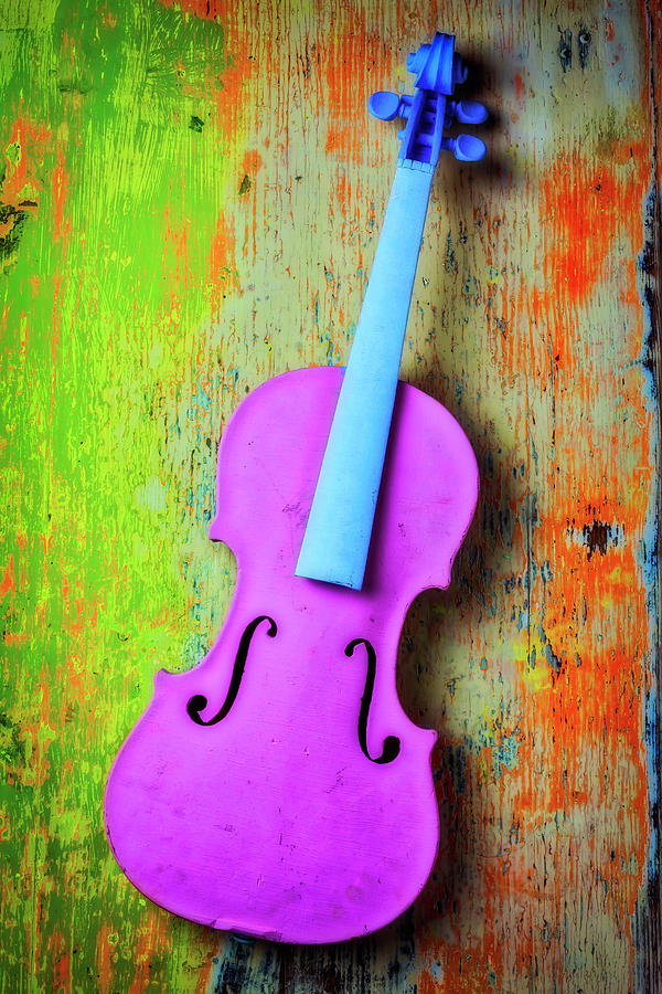 Pink Violin Photograph by Garry Gay