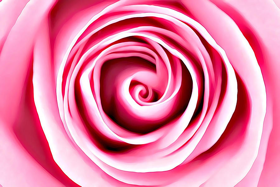 Pink Vortex by Lucia Sirna Pink Vortex by Lucia Sirna