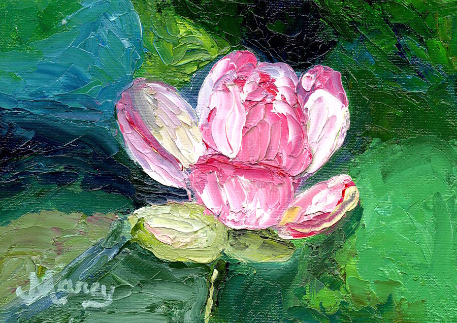 Pink Water Lily Painting by Marcy Brennan