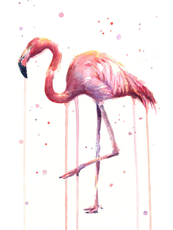 Flamingo Painting - Pink Watercolor Flamingo by Olga Shvartsur