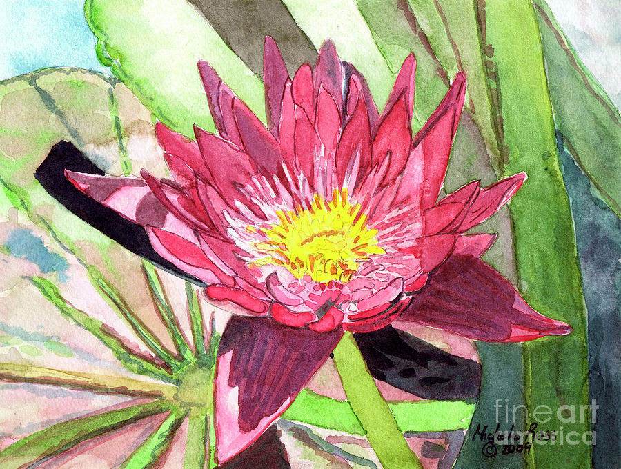 Pink Painting - Pink Waterlily At Noon by Michele Ross