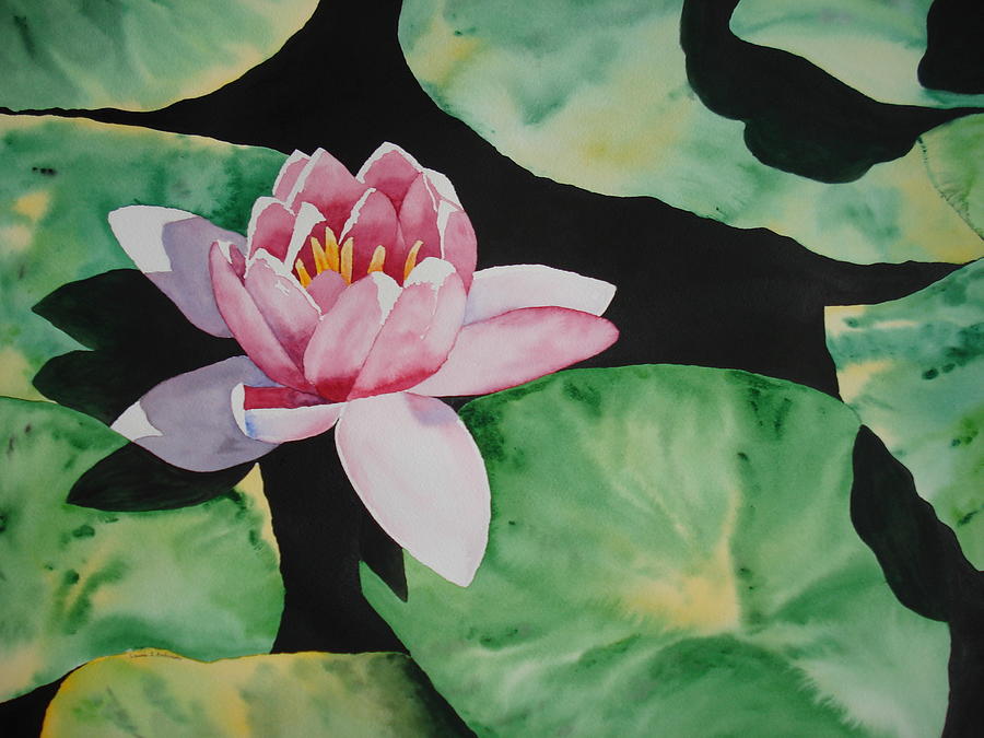 Pink Waterlily Painting by Laurie Anderson