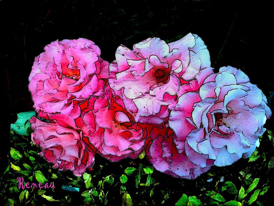 Pink - White Roses  Photograph by A L Sadie Reneau