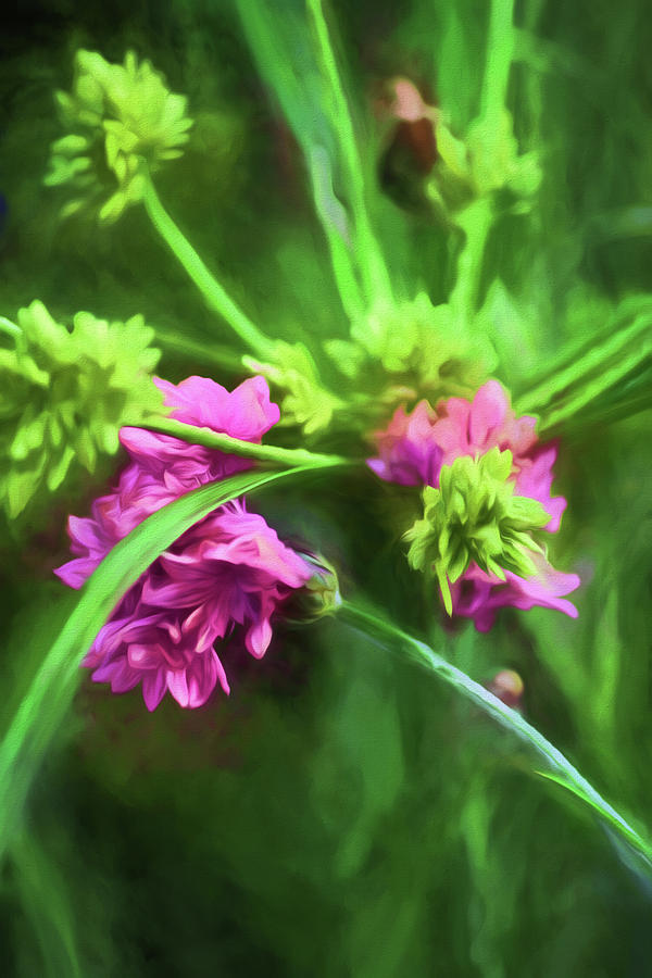 Pink Wildflowers Painting by Bonnie Bruno