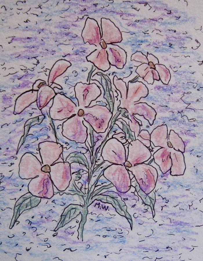 Pink wildflowers Drawing by Megan Walsh