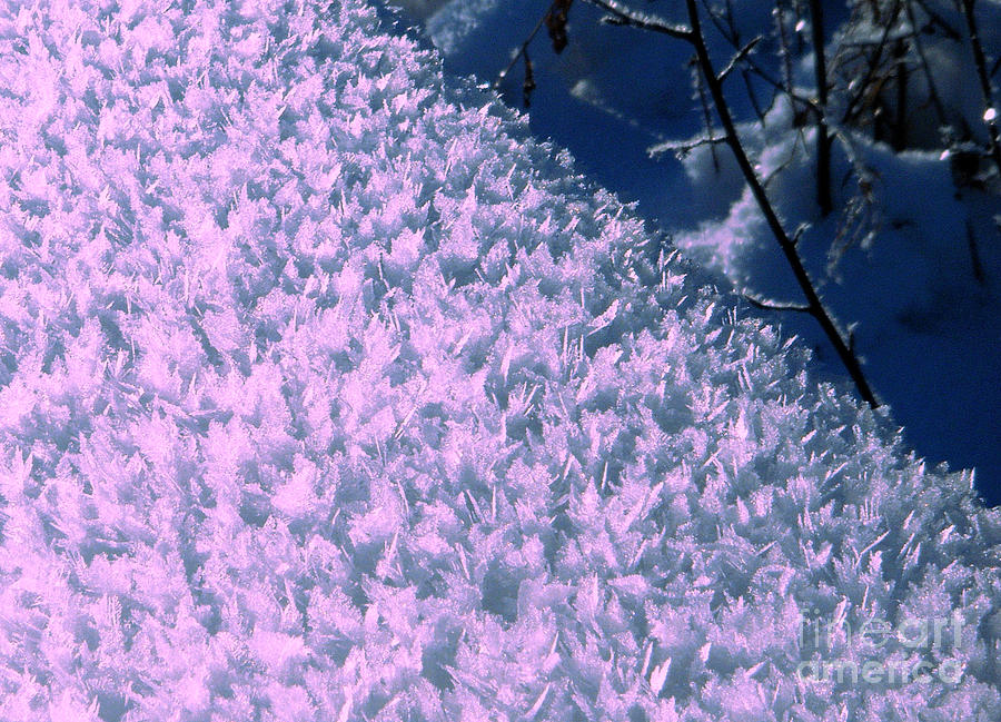 pink winter Crystals Photograph by Marianne NANA Betts