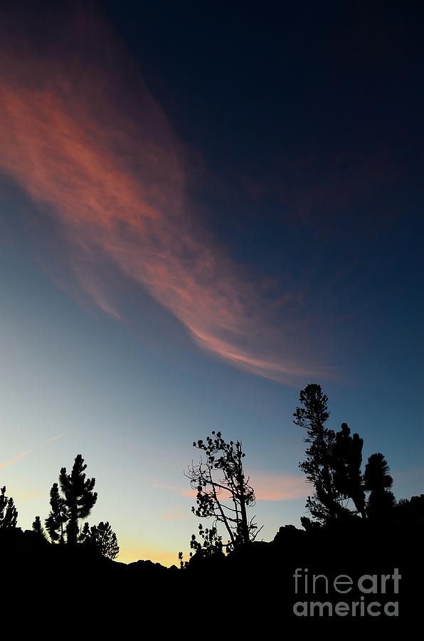 Pink Wisp In The Sky Photograph by Bruce Chevillat