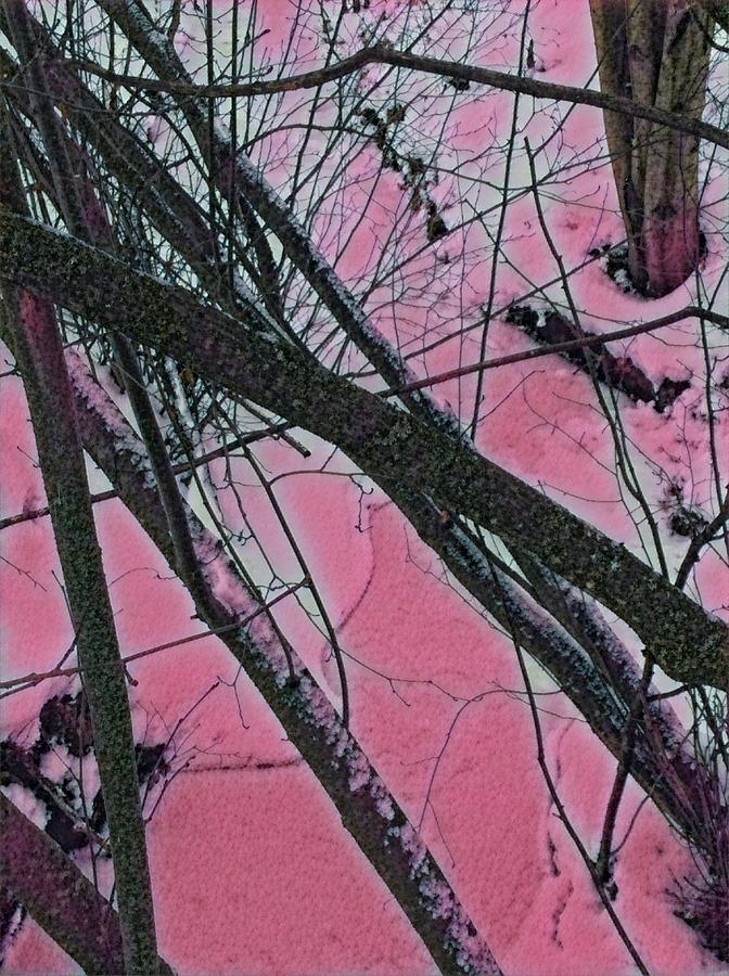 Pink Woods Digital Art