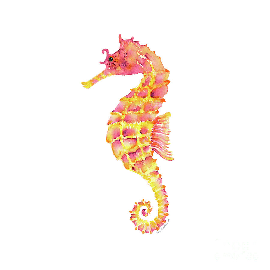 Seahorse Watercolor Painting - Pink Yellow Seahorse - Square by Amy Kirkpatrick