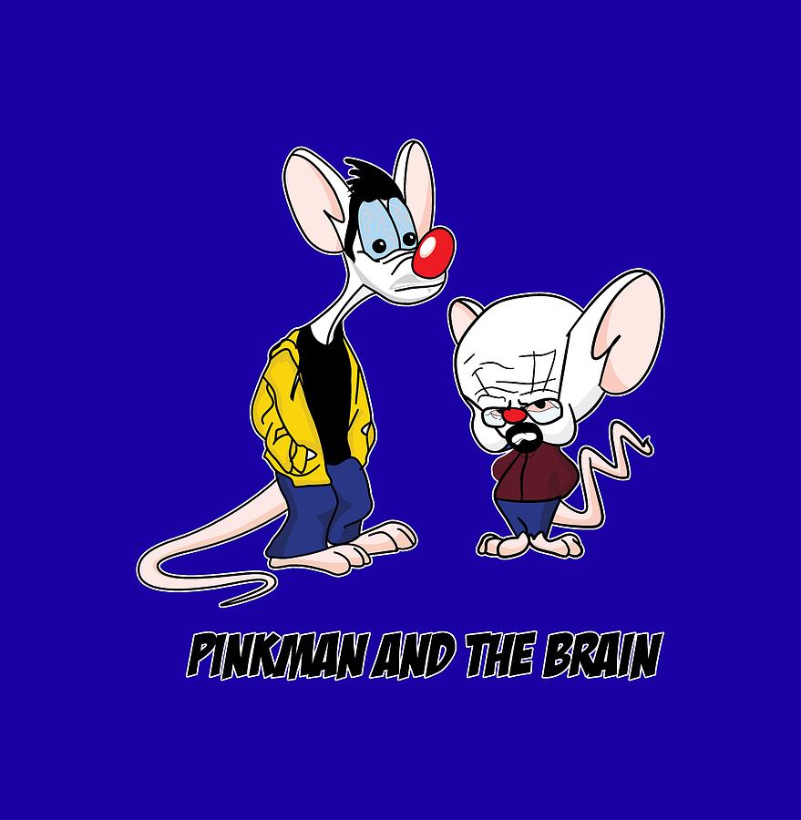 Bryan Cranston Photograph - Pinkman And The Brain Breaking Bad Parody Pinky And The Brain Parody Breaking Bad Tv Show by Paul Telling