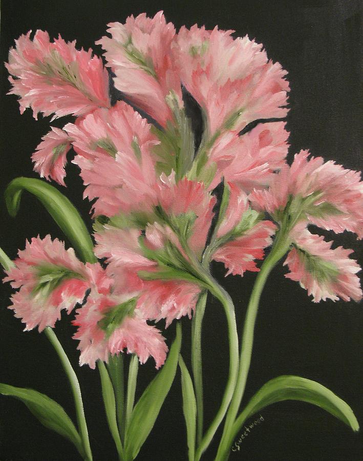 Pinks Painting by Carol Sweetwood